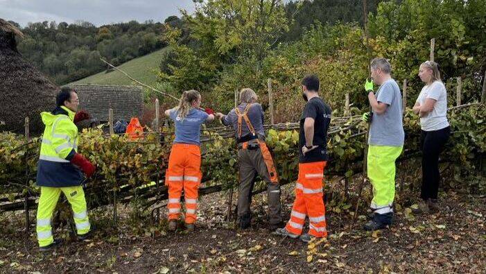 Image Hedge laying is one of a number of environmental support projects now underway along the route of the replacement pipeline